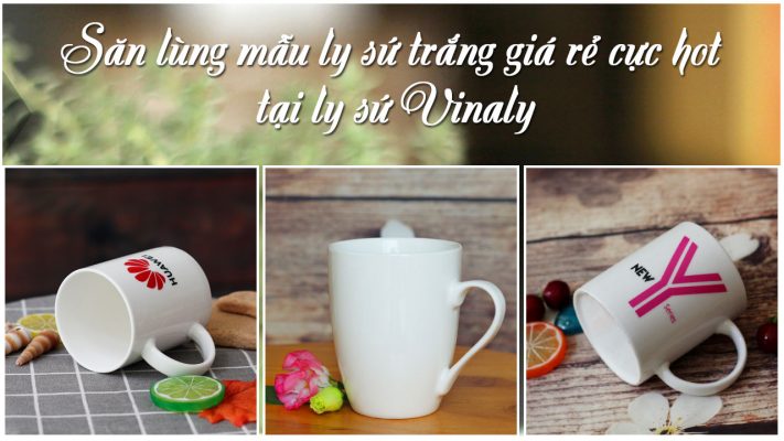 san lung mau ly su trang gia re tai ly su vinaly